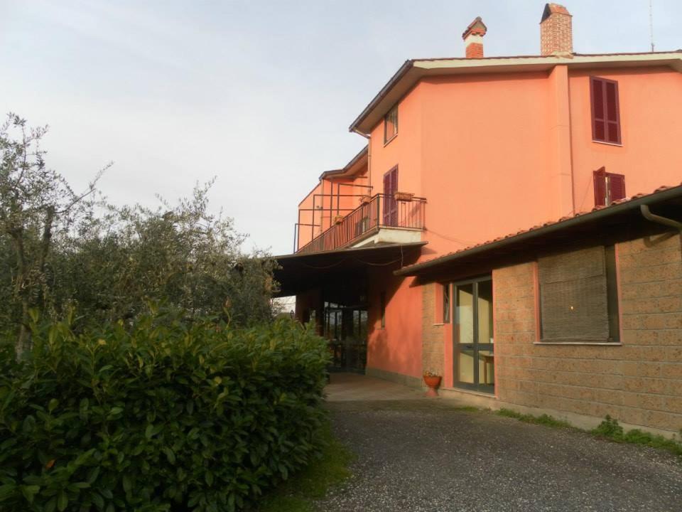 Il Contado B&B Castel Sant'Elia Exterior foto